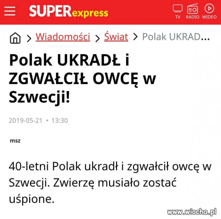 Ach ci imigranci