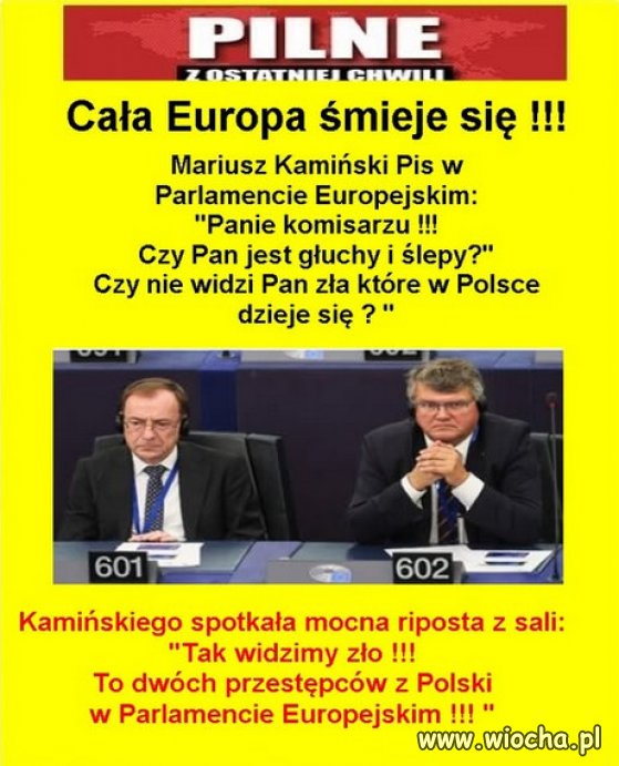 Nareszcie ktoś powiedział prawdę, publicznie hołocie PiSu!