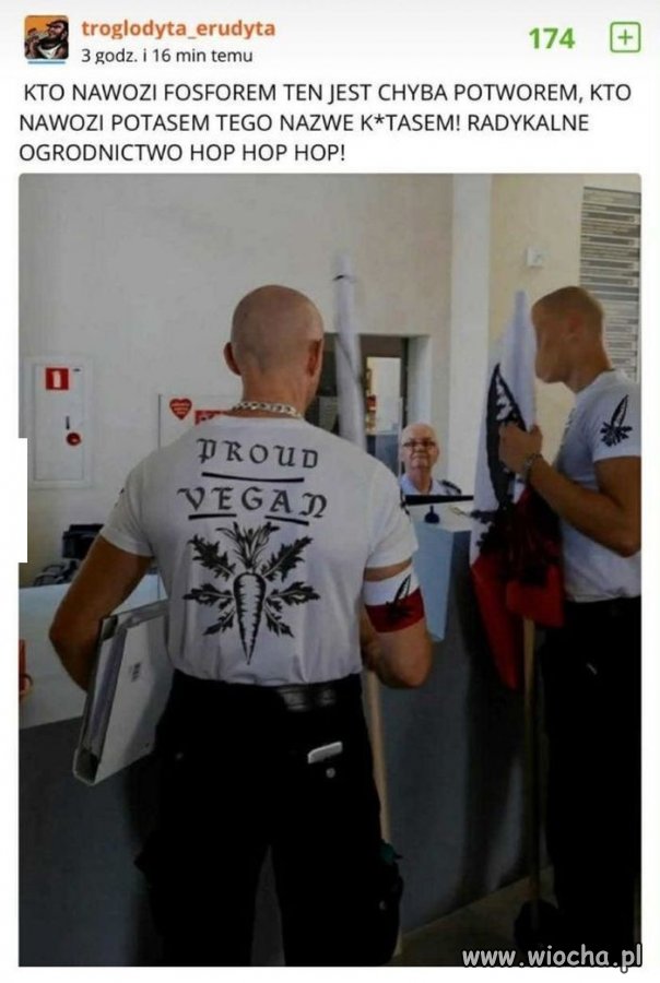 Ultrasi z RODOS
