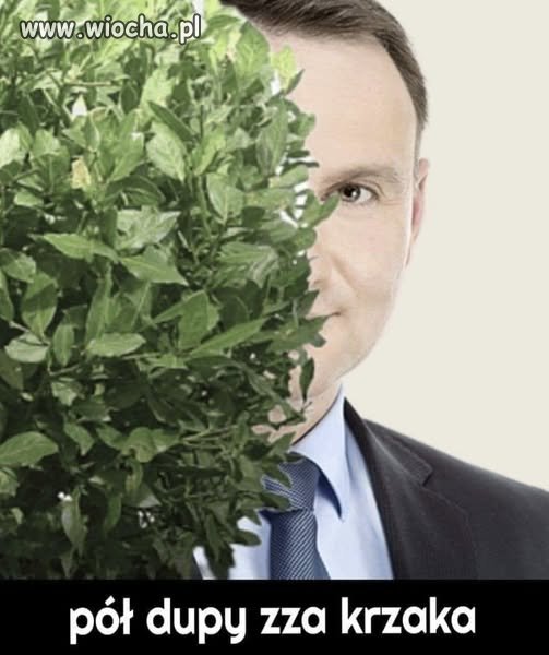 Anżeju to ty?