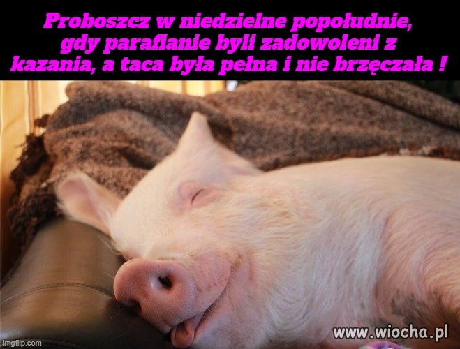 A Michałowa po cichutku