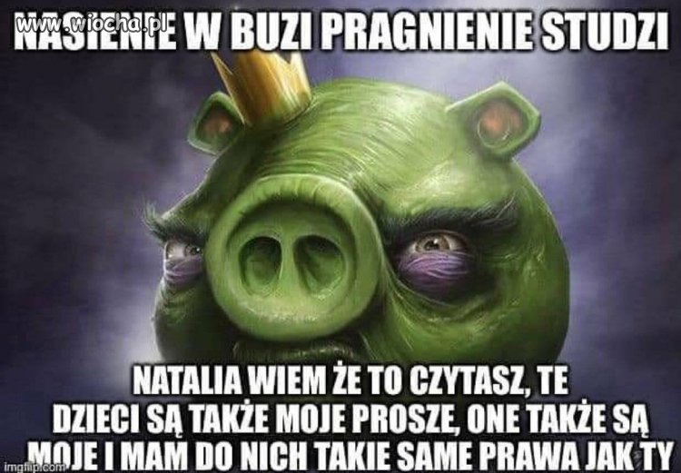 Klasyczek 