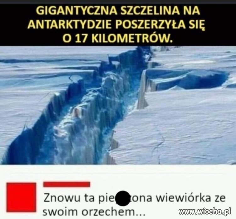 A wszystko to 