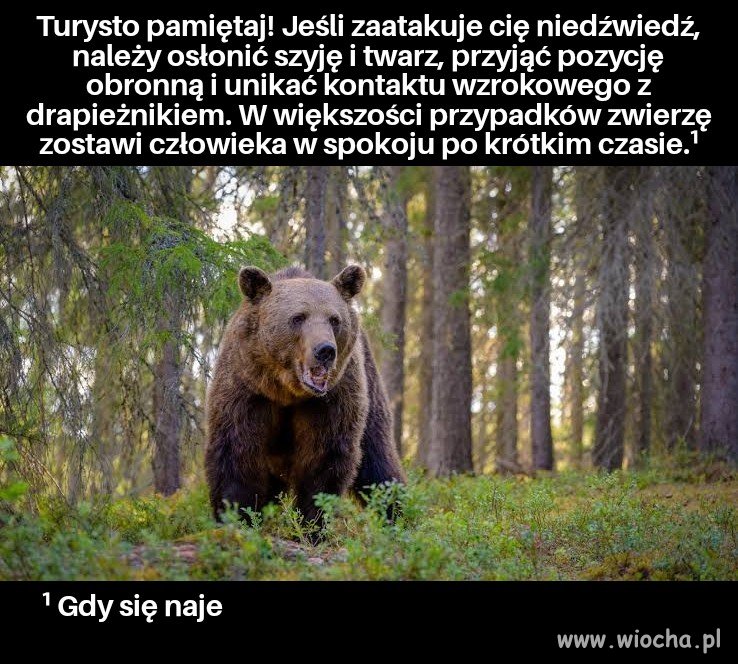 Wakacyjne przypomnienie 