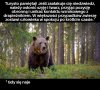 Wakacyjne przypomnienie 