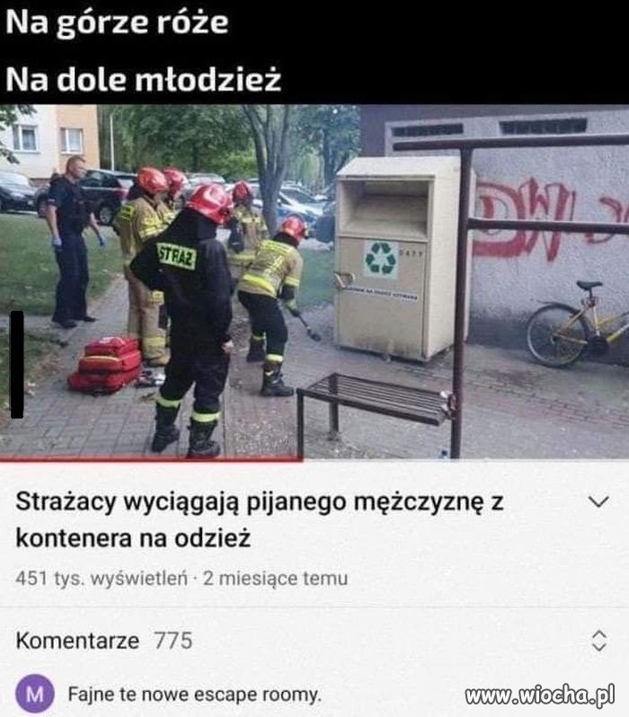 Gdzie mu będzie wygodniej?