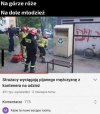 Gdzie mu będzie wygodniej?