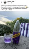 No nie wiem a może by tak 