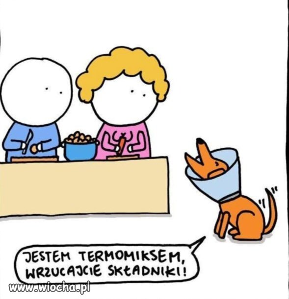 Może być termimix 
