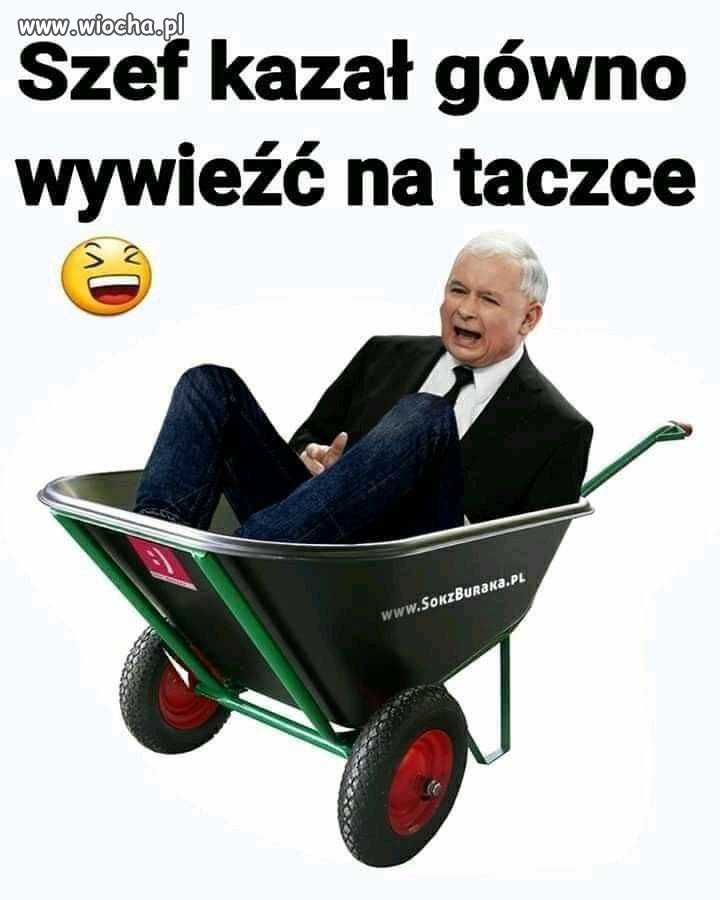 Słuchaj Szefa.