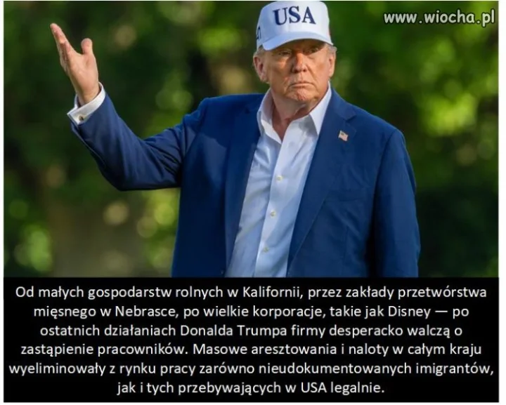 Co może wymyślić prawacki debil?