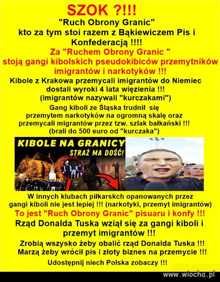 ROG - kto za tym stoi razem z Bąkiewiczem Pis i Konfederacją?