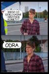 Różnice są 