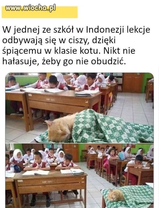 Tak się uczy dbałości o innych...