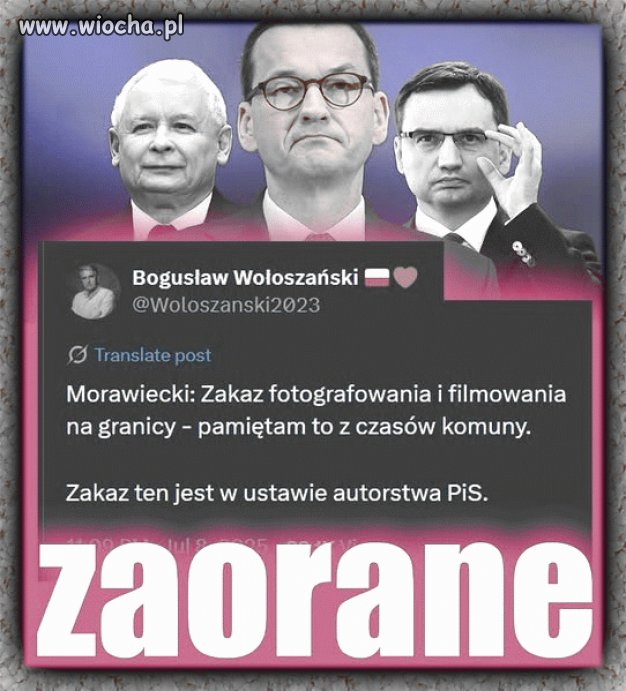 Pinokio znowu sam się zaorał