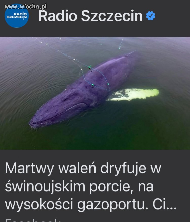 Nowość w smażalniach!