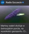 Nowość w smażalniach!