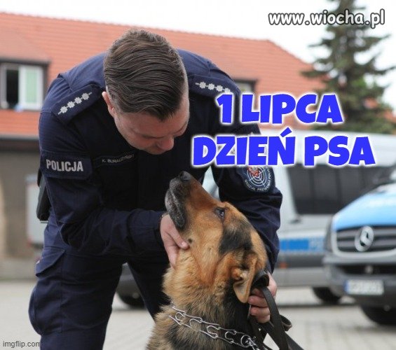 Jest dzisiaj takie święto .