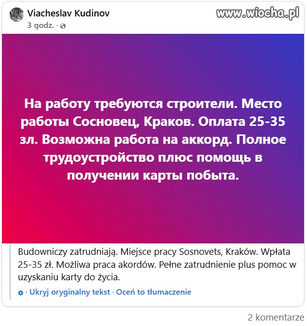 Oferta pracy