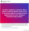 Oferta pracy