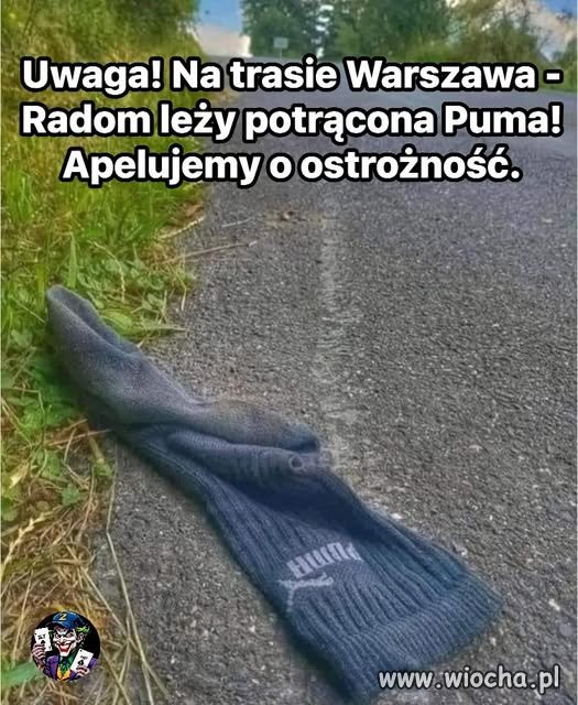 Potwierdzam