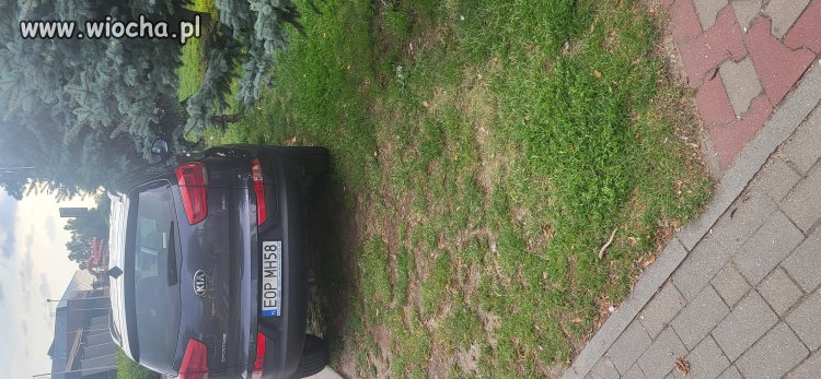 Wiem, ze to trawnik nad zalewem w Rawie Mazowiecki