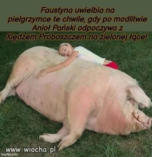 Sezon pielgrzymkowy.