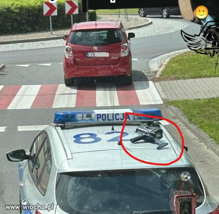 Z cyklu: "Nasza Policja"