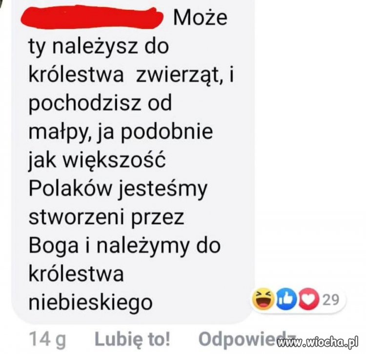 Nie ma to jak Prawdziwy Polak z Prawdziwego Narodu Wybranego 
