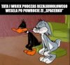 Tak, wesele bez alkoholu 