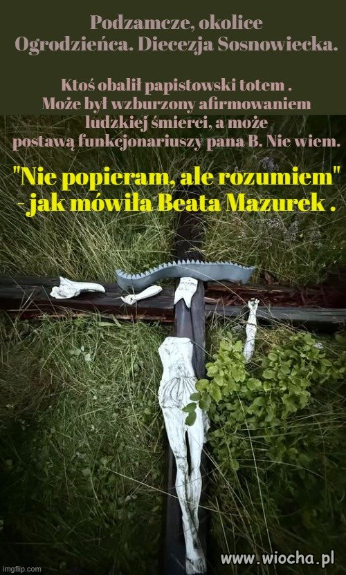 Policja szuka sprawcy dewastacji totemu.