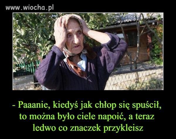 Potwierdzam