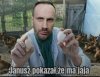 Teraz już wiesz?.