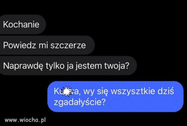 Chciał dwie sroki za ogon trzymać 