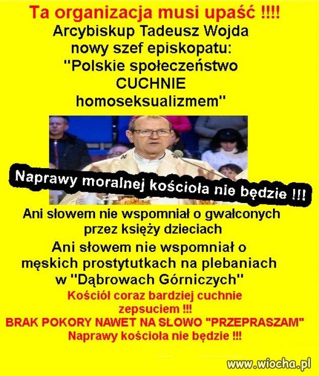 Kapłaństwo staje się zawodem gejowskim...