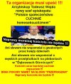 Kapłaństwo staje się zawodem gejowskim...