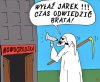 Jarku, ktoś cię woła ...
