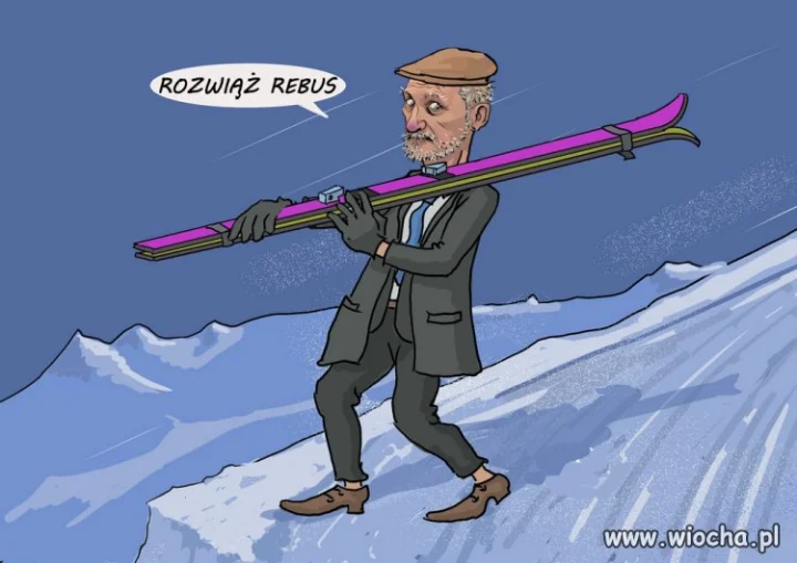 Świr ski 