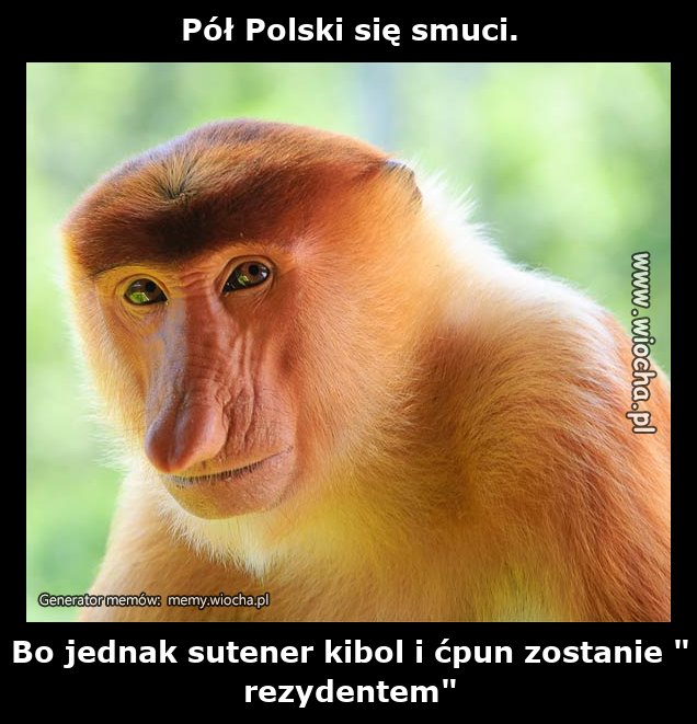 Pół Polski się smuci.