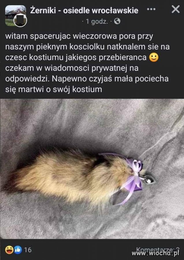 Czyja pociecha zgubiła 