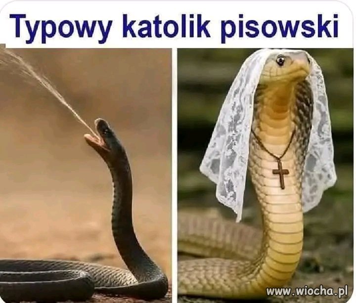 Kto wie ten wie