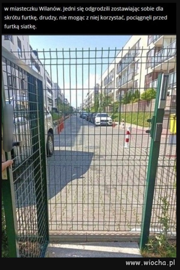 Polak, Polakowi wilkiem 