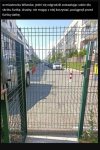 Polak, Polakowi wilkiem 