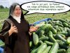 Sezon ogórkowy 