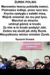 Biedni ci pisowcy ... dopadł ich Żurek !