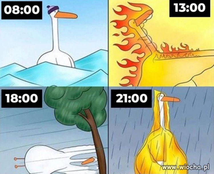 Wakacje po polsku