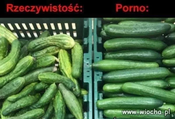 Wolne skojarzenia.