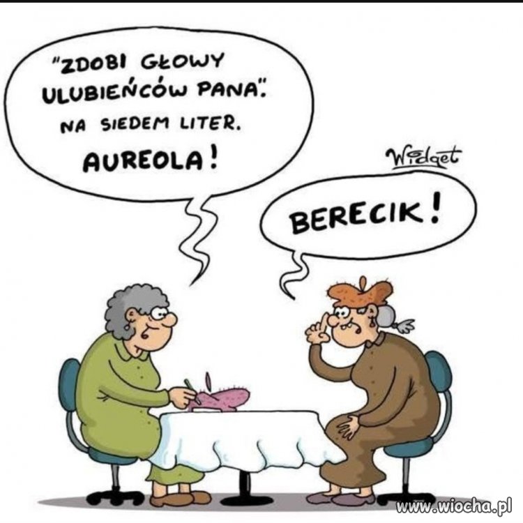 Bereciki pana Tadeusza 