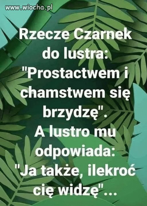 Wierszyk na dziś