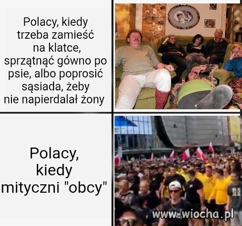 Zdjęcie samo mówi
